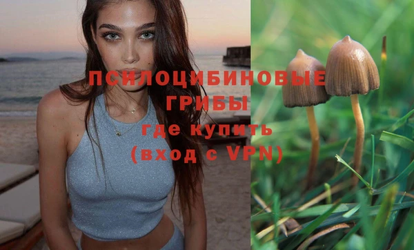 бошки Белоозёрский