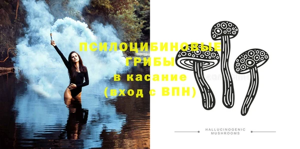 амф Белокуриха