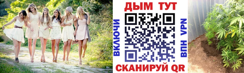 где купить наркоту  Горно-Алтайск  Каннабис VHQ 